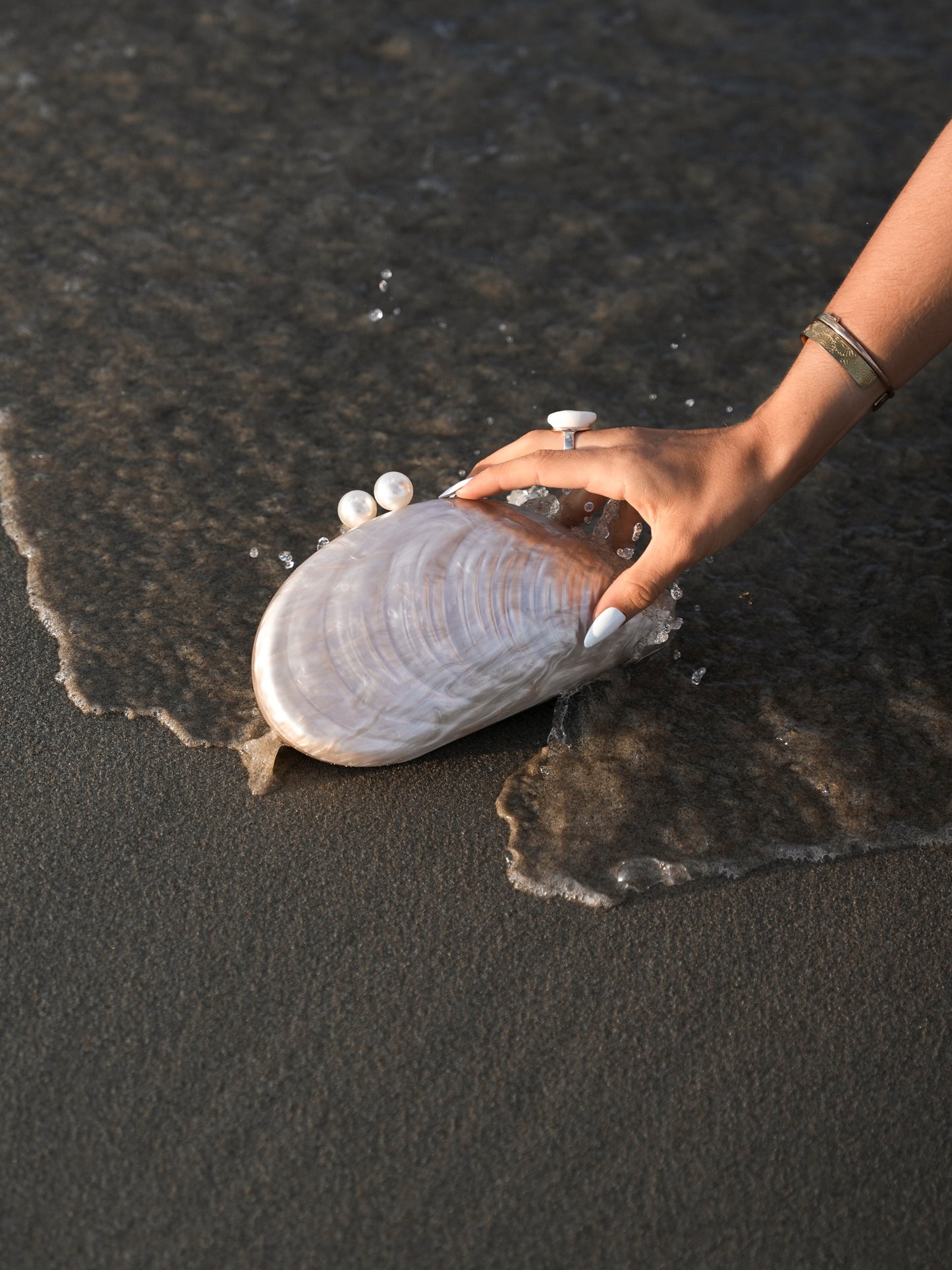 Sac coquillage - 1882